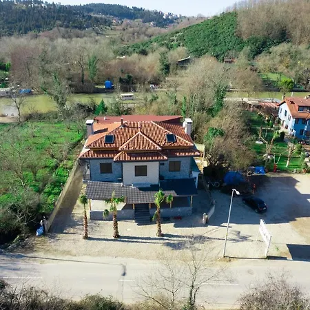 Pieria Luxury 16